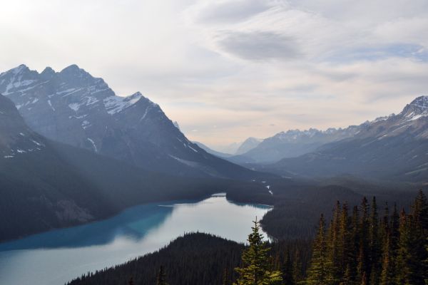 Mountains and fjords